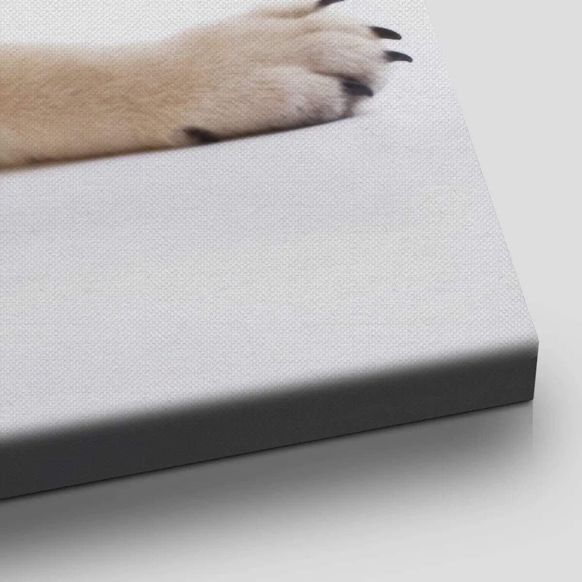 Puppy Pug Wall Art Canvas Print-Stunning Canvas Prints