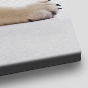 Puppy Pug Wall Art Canvas Print-Stunning Canvas Prints