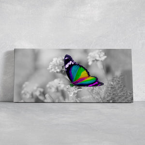 Rainbow Butterfly Wall Art Canvas-Stunning Canvas Prints