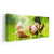 Rooster And Chicken Wall Art-Stunning Canvas Prints