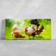 Rooster And Chicken Wall Art Canvas-Stunning Canvas Prints