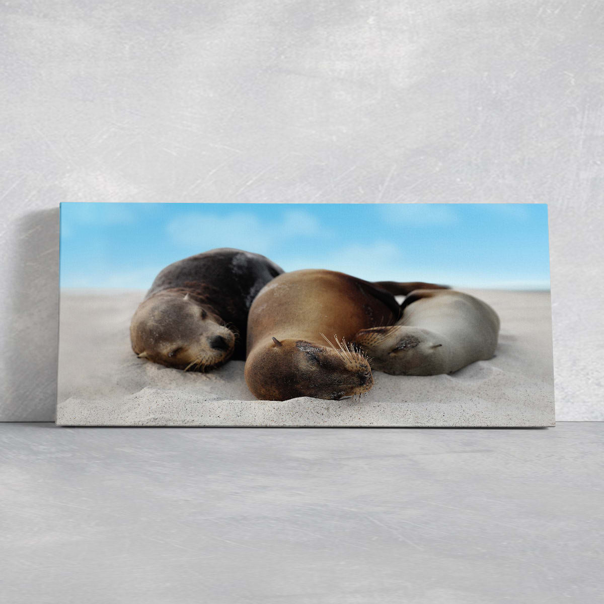 Loving Sea Lion Wall Art Canvas-Stunning Canvas Prints