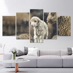 Baby Lamb Wall Art-Stunning Canvas Prints