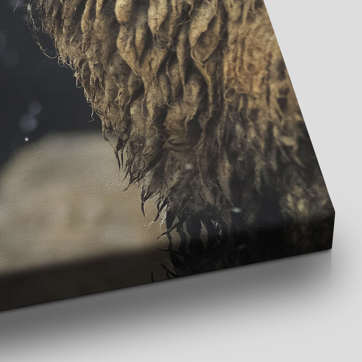 Baby Lamb Wall Art Canvas-Stunning Canvas Prints