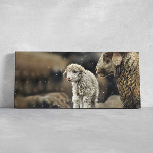 Baby Lamb Wall Art Canvas-Stunning Canvas Prints