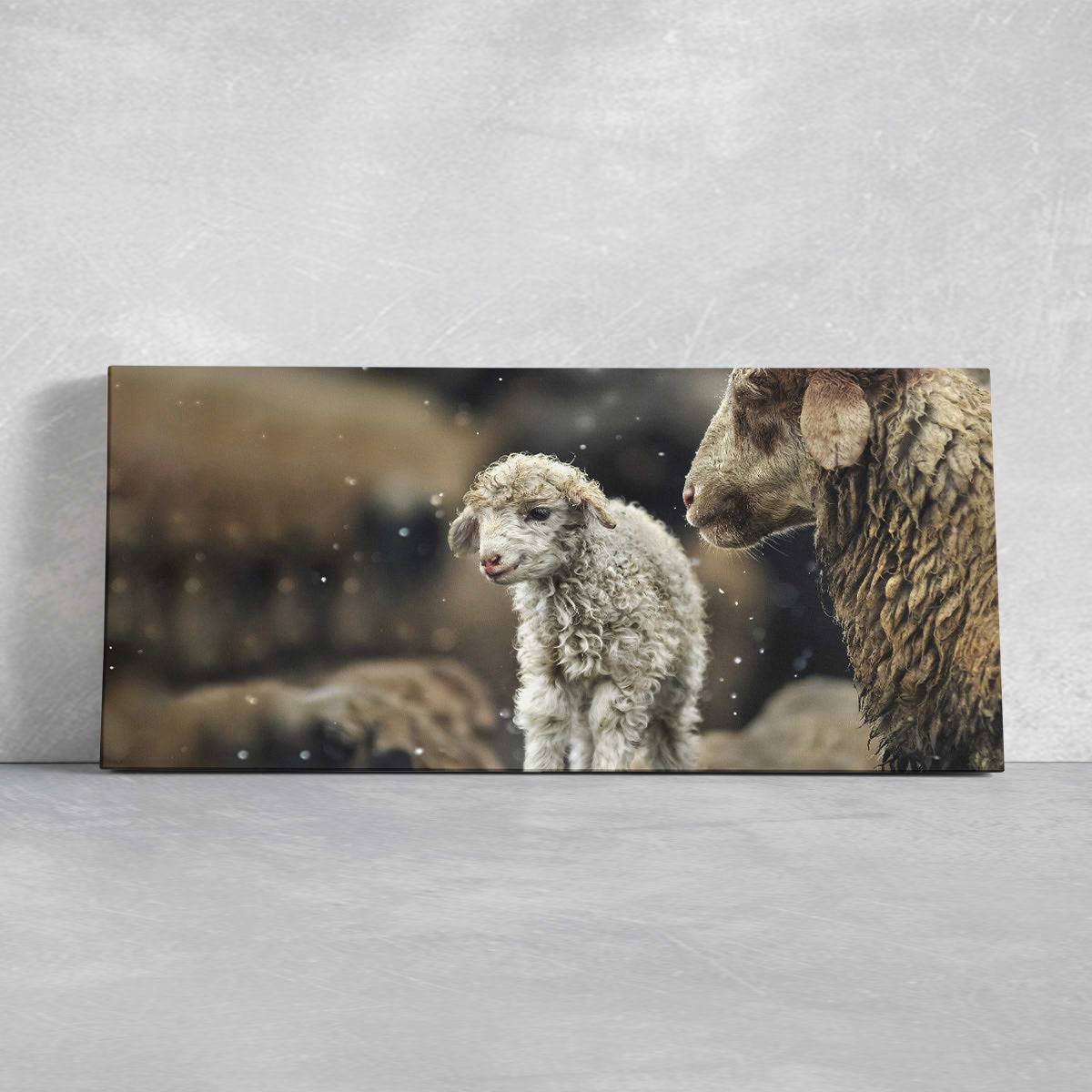 Baby Lamb Wall Art Canvas-Stunning Canvas Prints