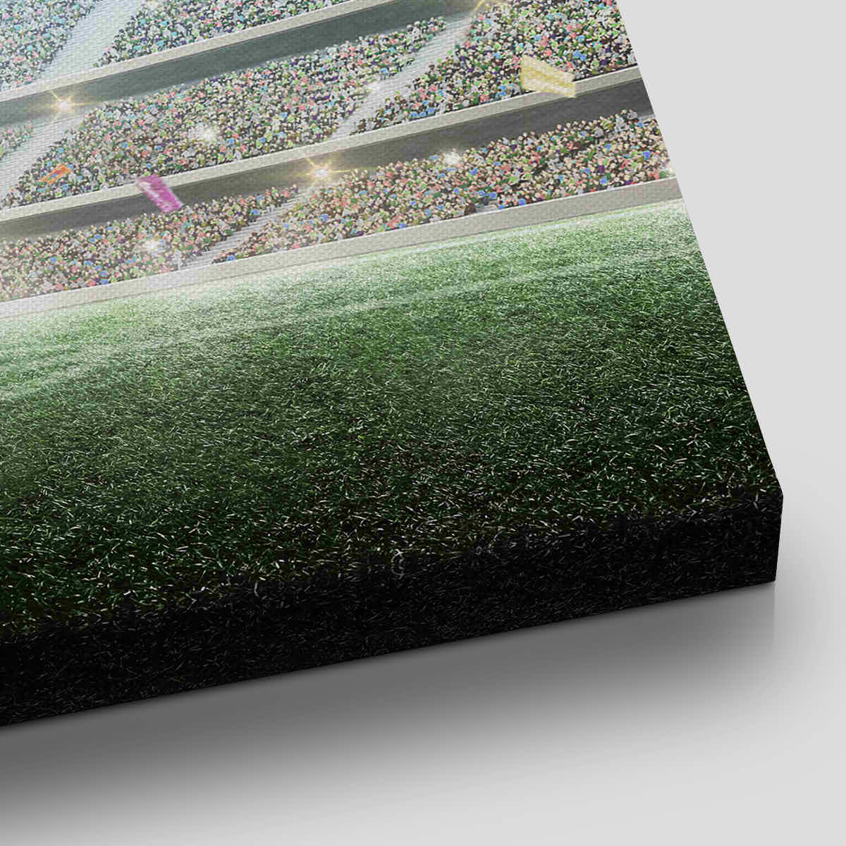 Soccer Arena Wall Art Canvas print-Stunning Canvas Prints