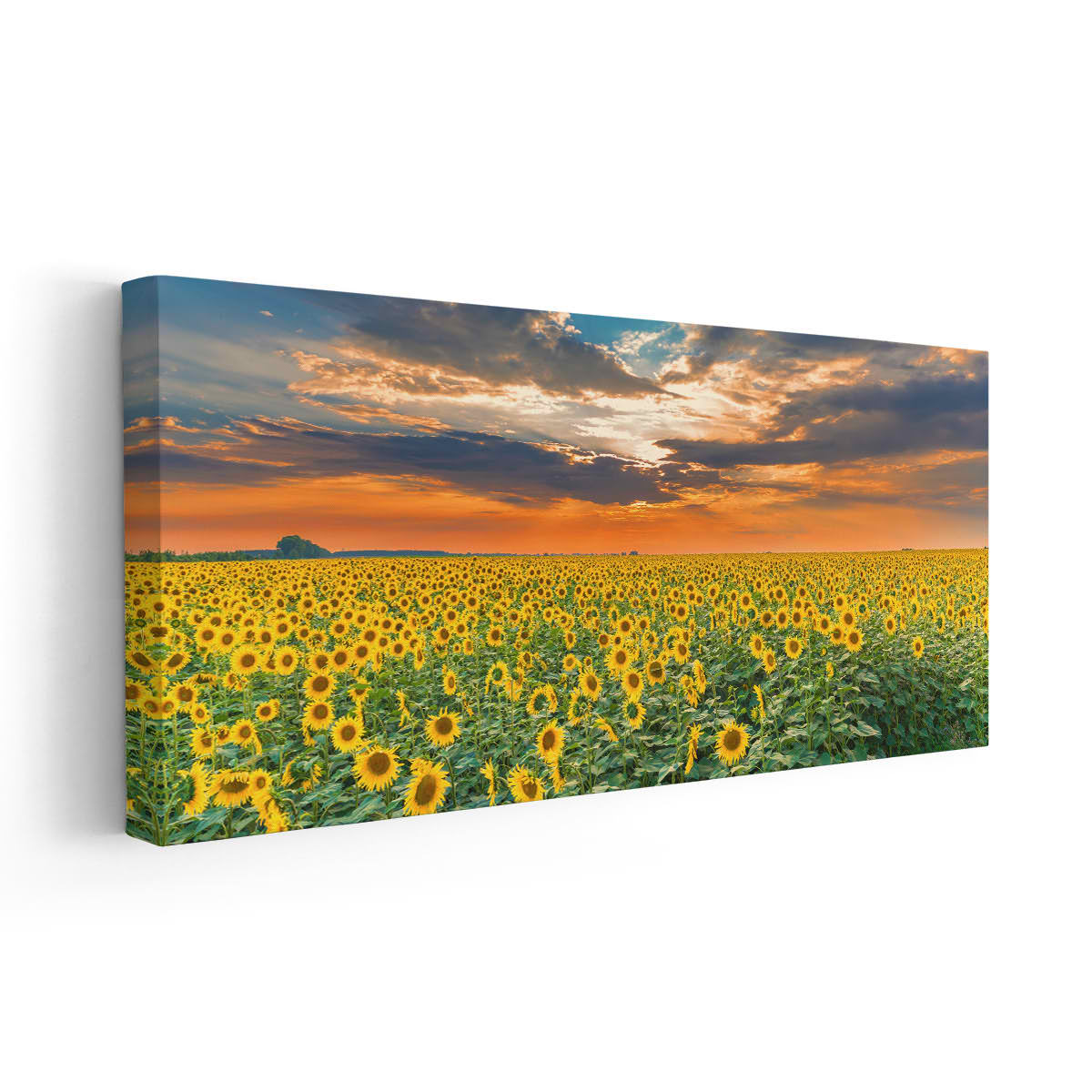 Sunflower Field On Sunset Wall Art