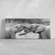 Loving Elephants Wall Art Canvas-Stunning Canvas Prints