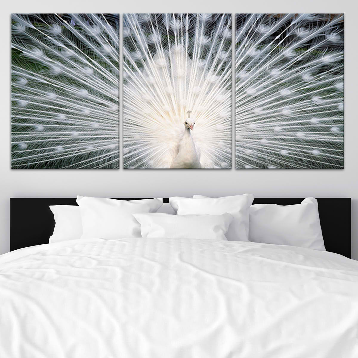 White Peacock Wall Art Canvas-Stunning Canvas Prints