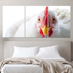 White Chicken Wall Art Canvas-Stunning Canvas Prints