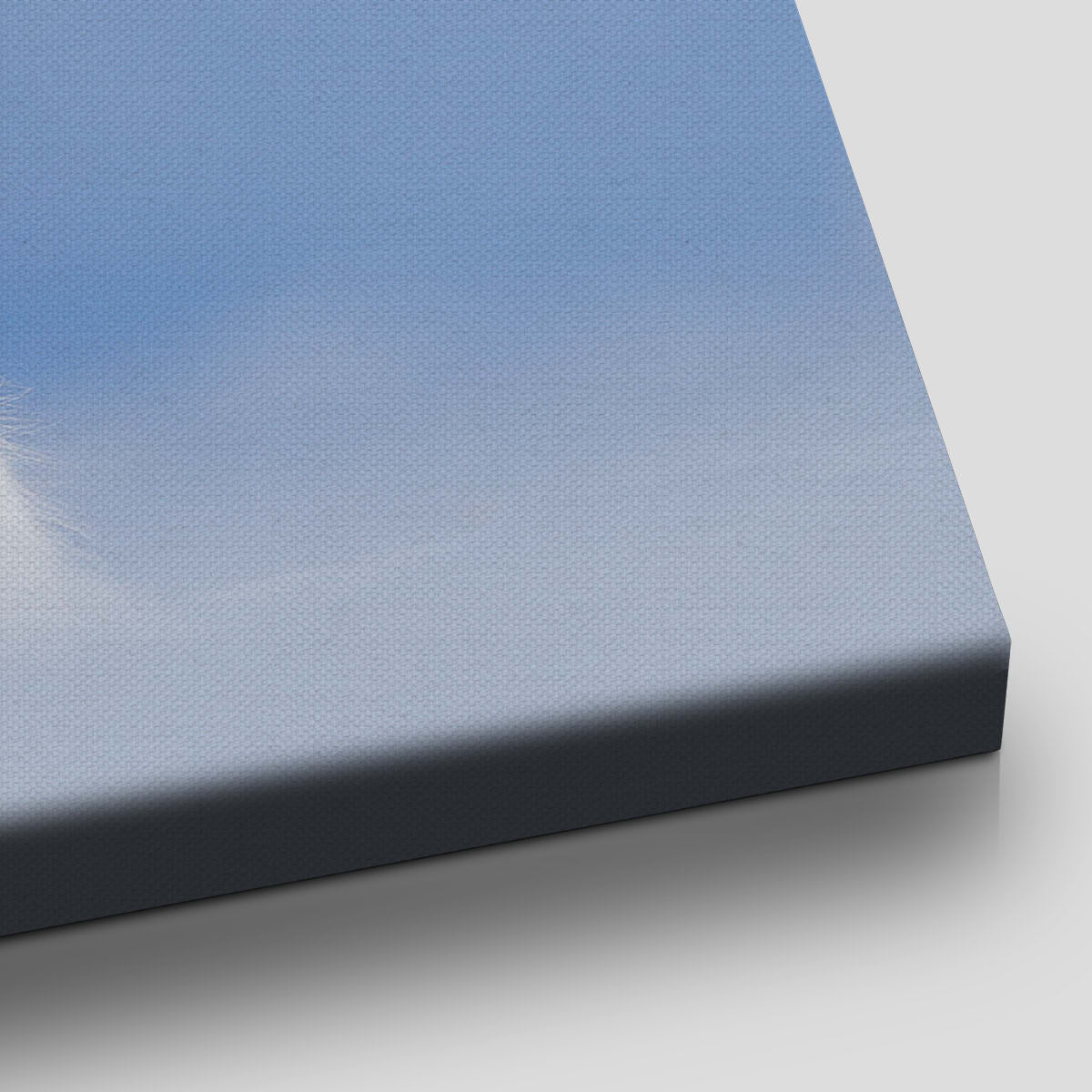 Arctic Fox Wall Art Canvas-Stunning Canvas Prints