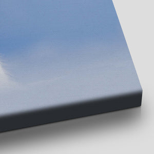 Arctic Fox Wall Art Canvas-Stunning Canvas Prints