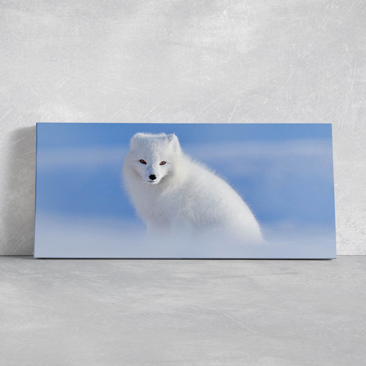 Arctic Fox Wall Art Canvas-Stunning Canvas Prints