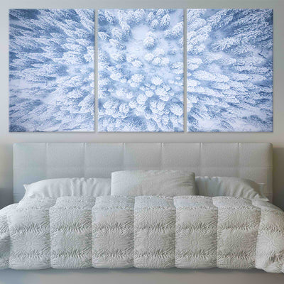 Snowy Forest Aerial Wall Art