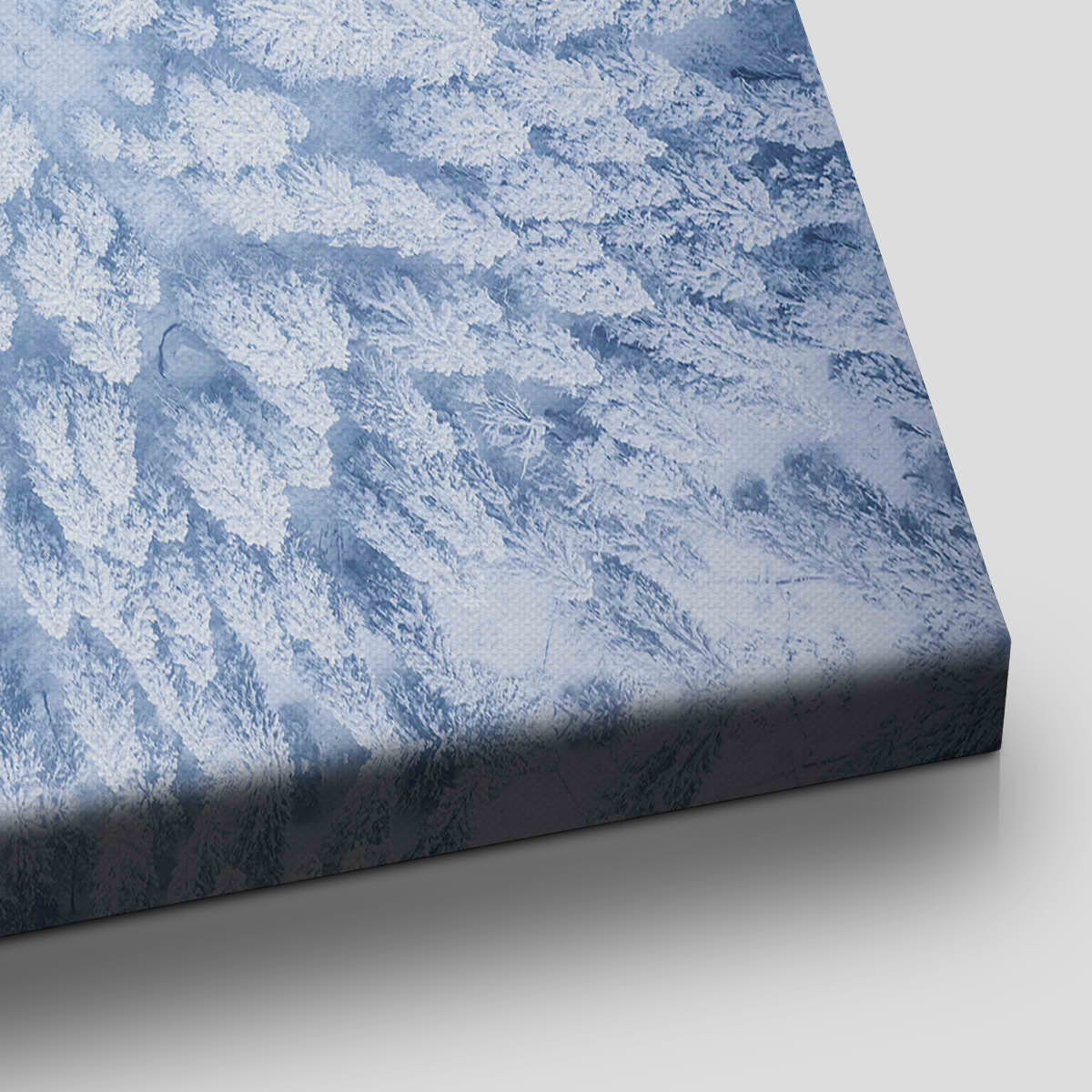 Snowy Forest Wall Art-Stunning Canvas Prints