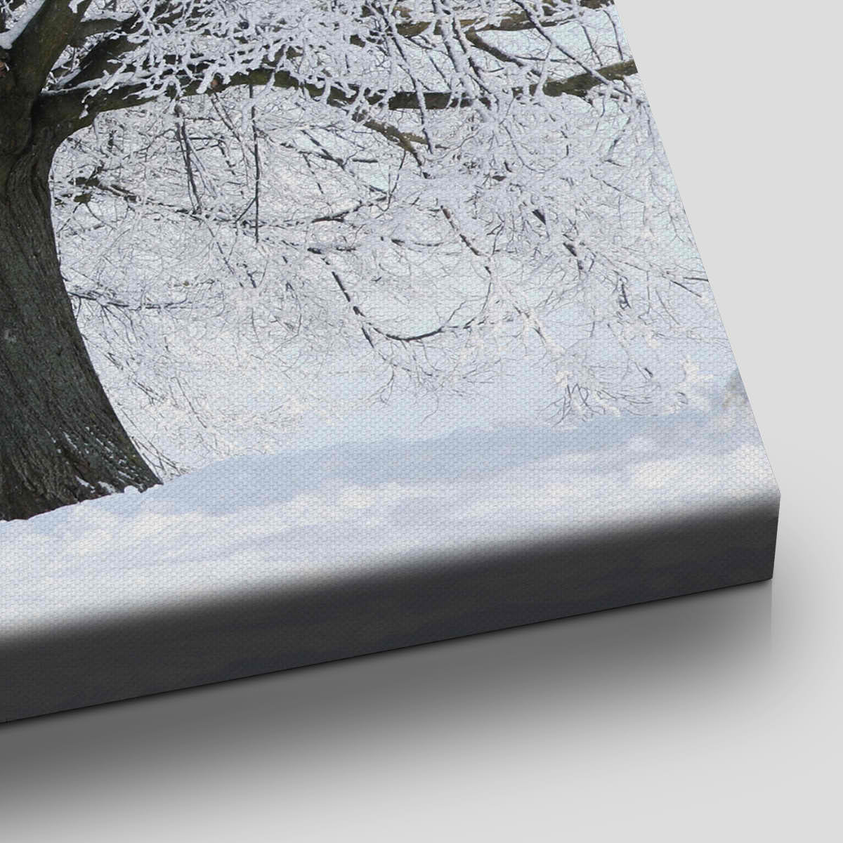 Snowy Trees Wall Art Canvas-Stunning Canvas Prints