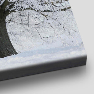 Snowy Trees Wall Art Canvas-Stunning Canvas Prints