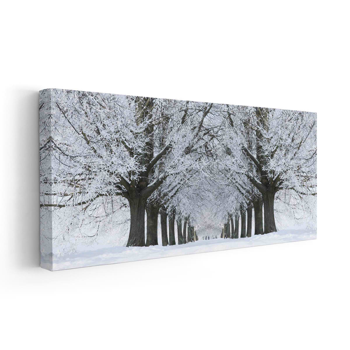 Snowy Trees Wall Art Canvas-Stunning Canvas Prints