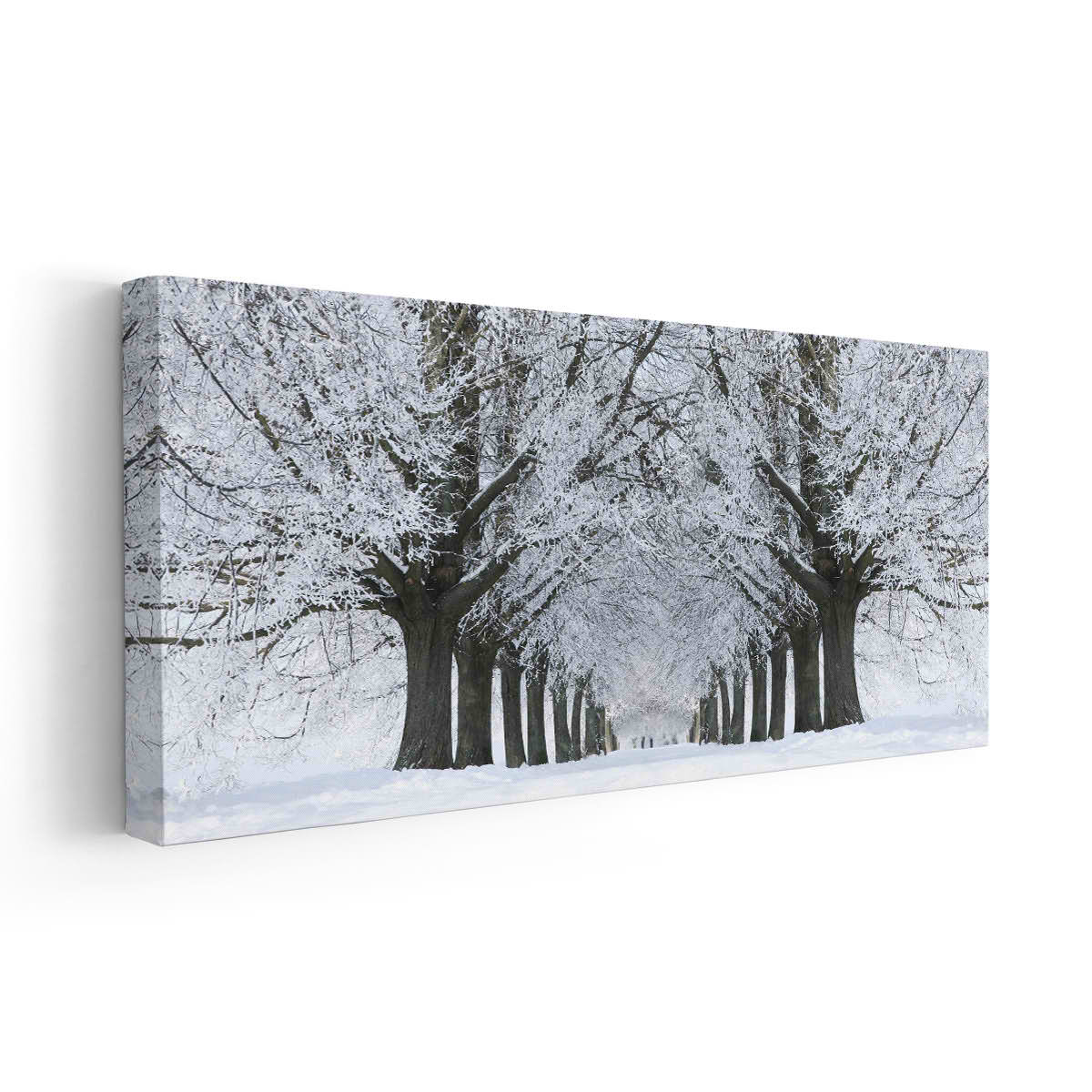 Winter White Snow Trees Canvas Wall Art