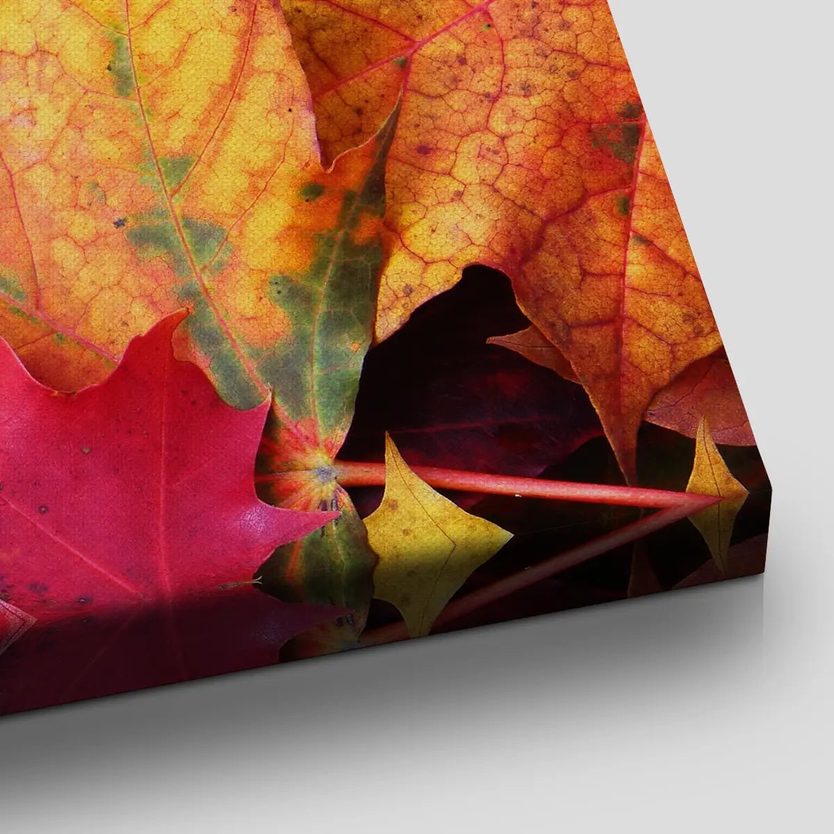 Autumn Leaves Wall Art Canvas Print-Stunning Canvas Prints