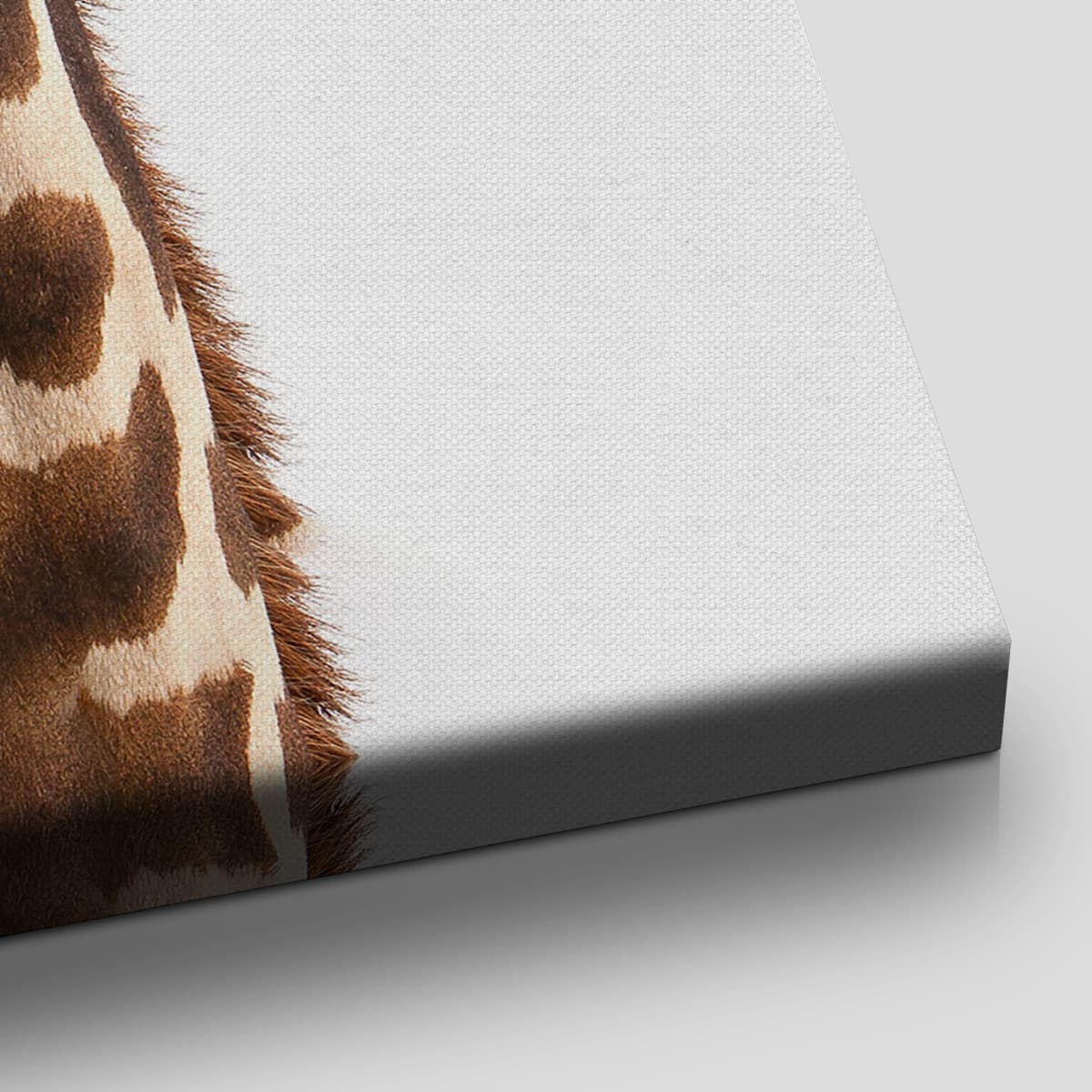 Cute Baby Giraffe Wall Art Canvas-Stunning Canvas Prints