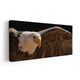Majestic Bald Eagle Wall Art Canvas-Stunning Canvas Prints