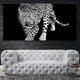 Black And White Jaguar Wall Art Canvas-Stunning Canvas Prints