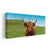 Brown Scottish Highland Cow Wall Art