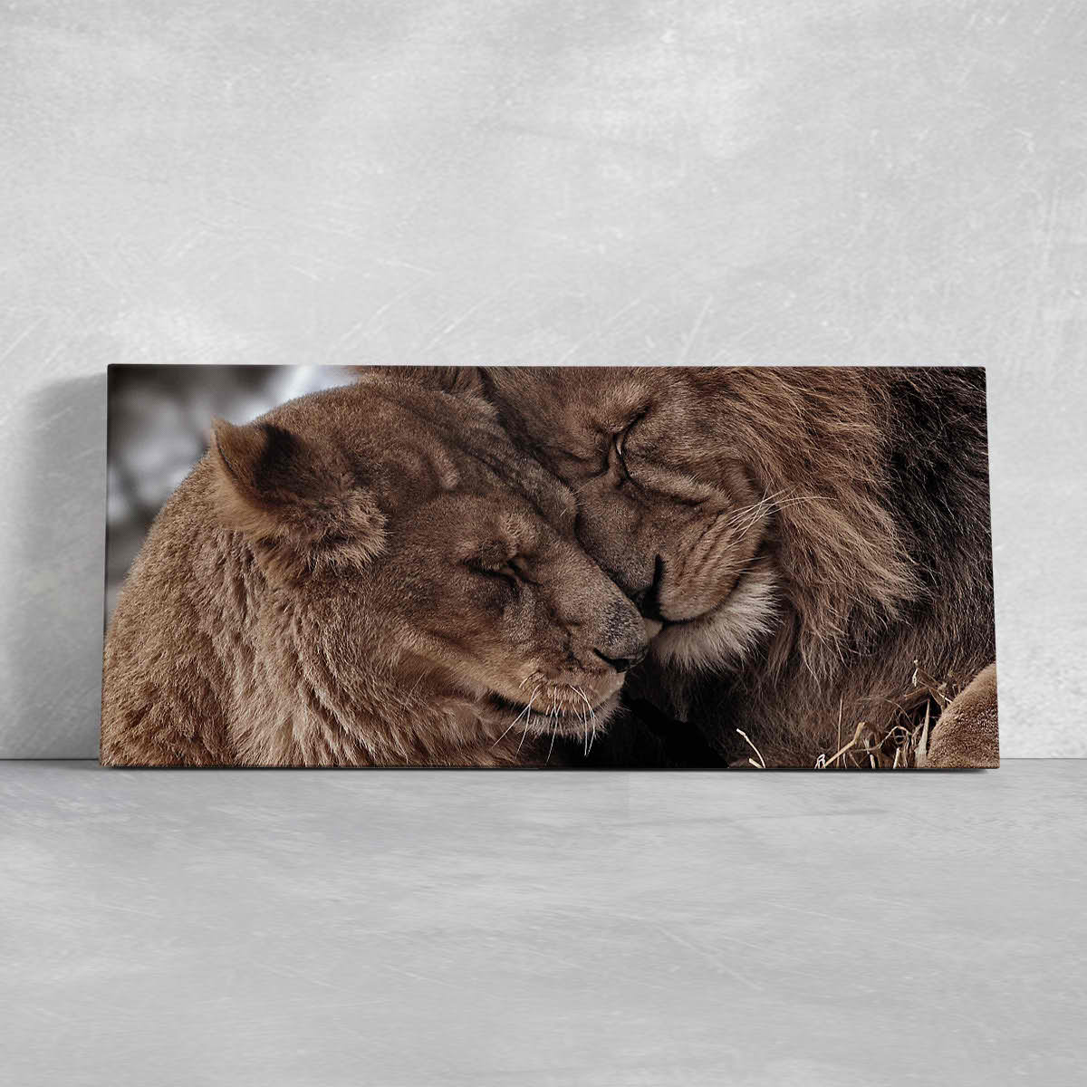 Lion Love Wall Art Canvas-Stunning Canvas Prints