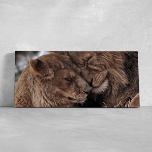 Lion Love Wall Art Canvas-Stunning Canvas Prints