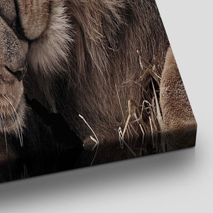 Lion Love Wall Art Canvas-Stunning Canvas Prints