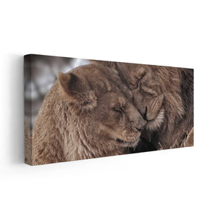 Lion Love Wall Art Canvas-Stunning Canvas Prints