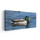 Mallard Duck Wall Art Canvas-Stunning Canvas Prints