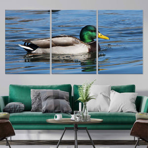 Mallard Duck Wall Art Canvas-Stunning Canvas Prints