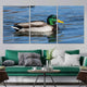 Mallard Duck Wall Art Canvas-Stunning Canvas Prints