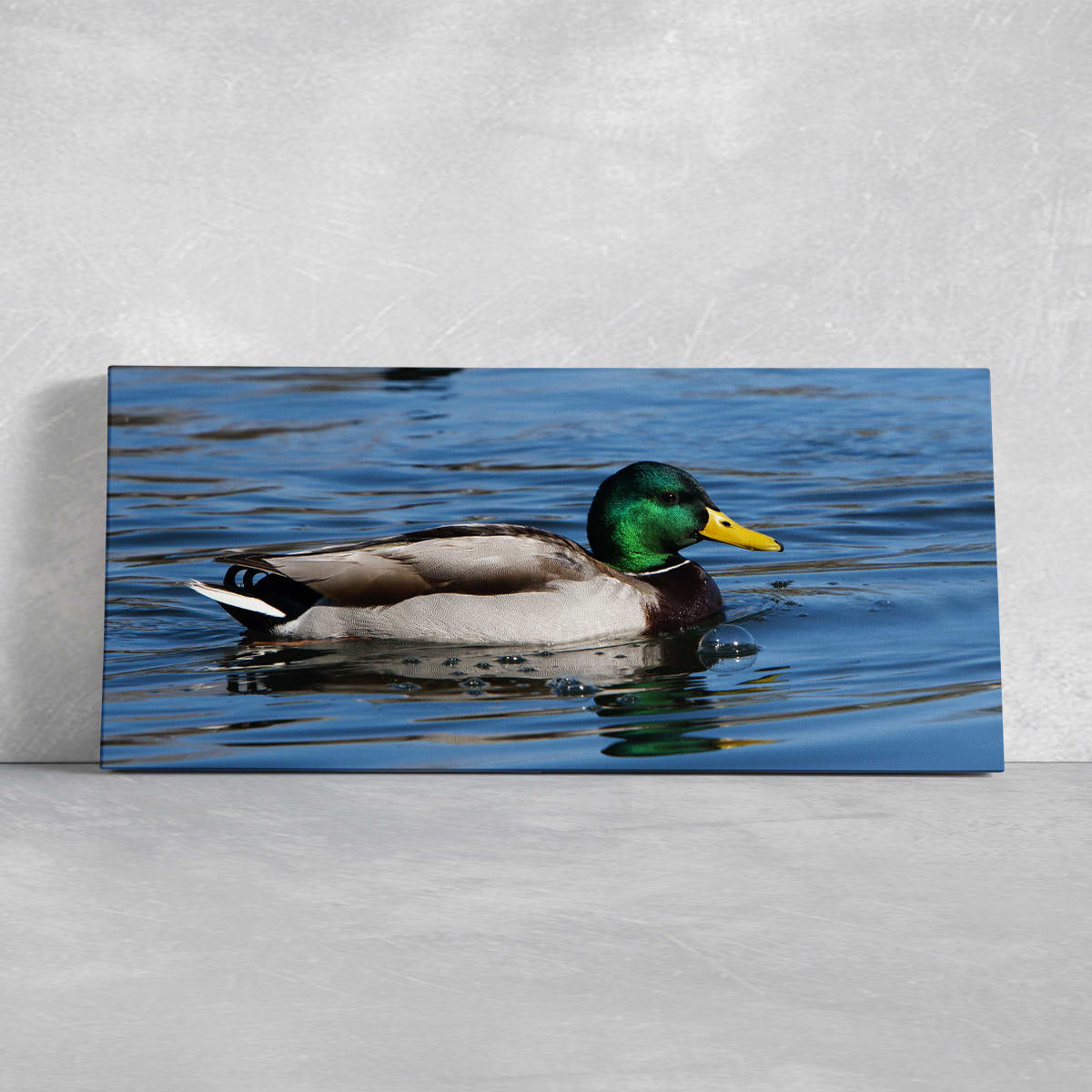 Mallard Duck Wall Art Canvas-Stunning Canvas Prints
