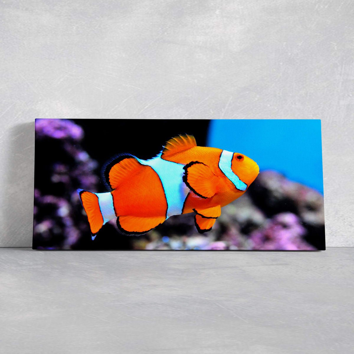 Clown Fish Wall Art Canvas-Stunning Canvas Prints