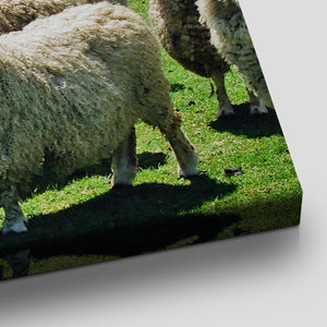 Sheep Flock Wall Art Canvas-Stunning Canvas Prints