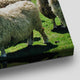 Sheep Flock Wall Art Canvas-Stunning Canvas Prints