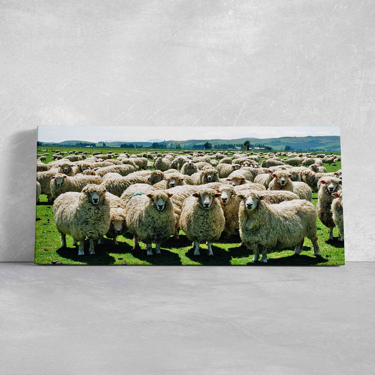 Sheep Flock Wall Art Canvas-Stunning Canvas Prints