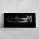 Jazz Trumpet Wall Art Canvas Print-Stunning Canvas Prints