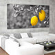 Lemon Tree Wall Art Canvas Print-Stunning Canvas Prints