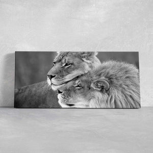 Black And White Loving Lions Wall Art Canvas-Stunning Canvas Prints