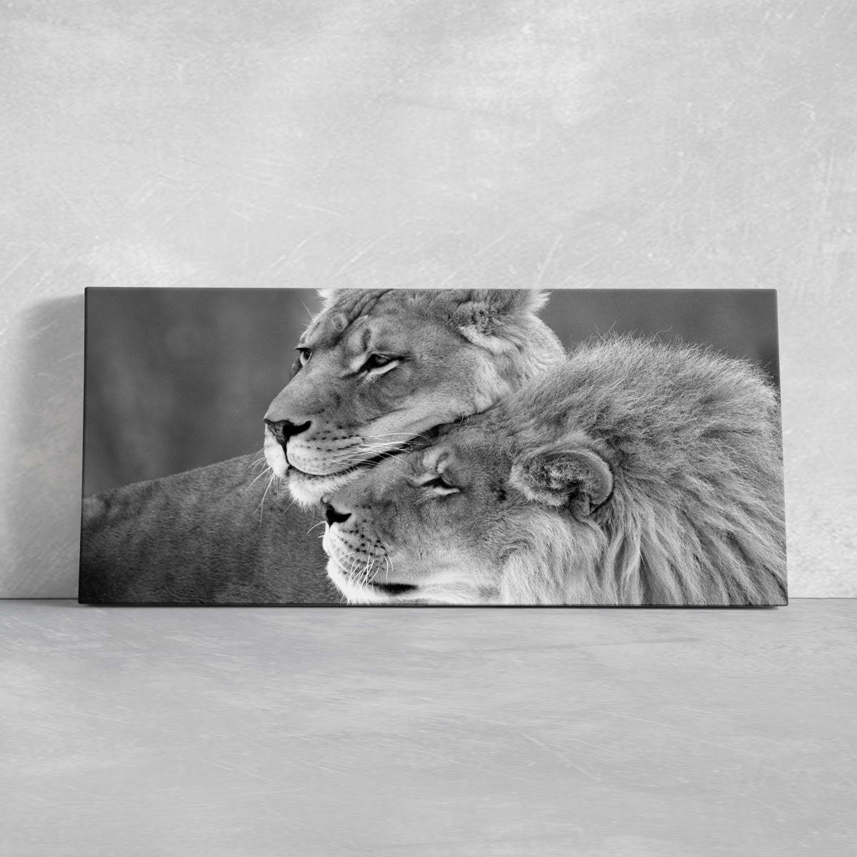 Black And White Loving Lions Wall Art Canvas-Stunning Canvas Prints