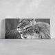 Black And White Loving Lions Wall Art Canvas-Stunning Canvas Prints