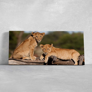 Cute Lion Cubs Wall Art Canvas-Stunning Canvas Prints