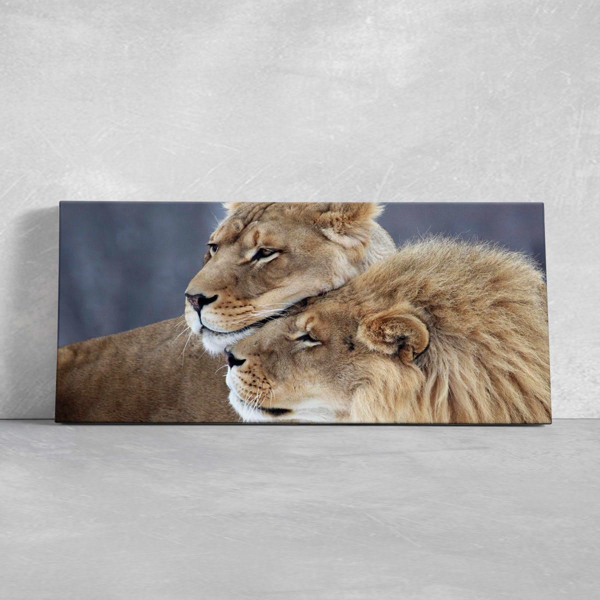 Lion Couple Love Wall Art Canvas-Stunning Canvas Prints