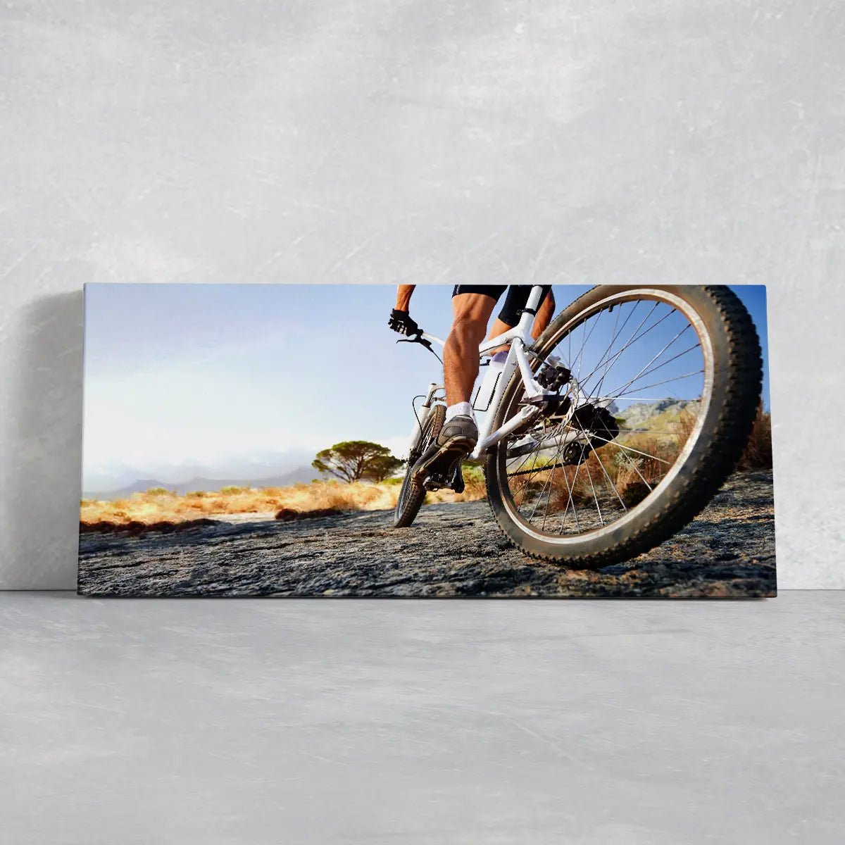 Mountain Bike Wall Art Large Canvas Print Art Print Wall Painting