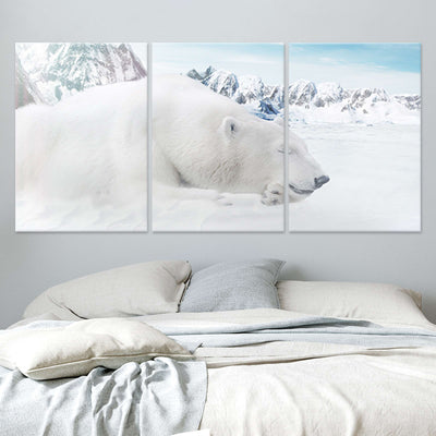 Sleeping Polar Bear Wall Art-Stunning Canvas Prints